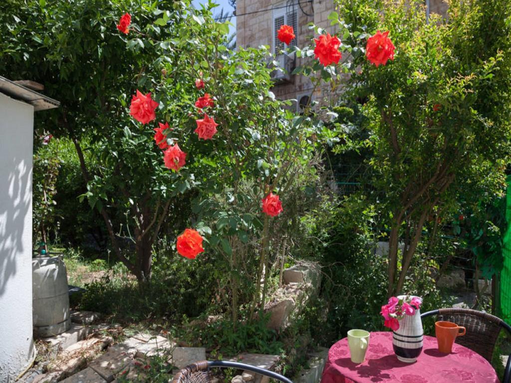 Alona'S Apartments Haifa Eksteriør billede